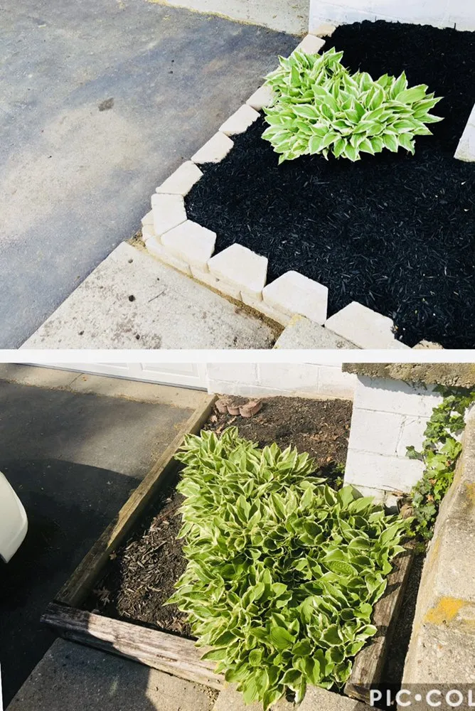 Affordable lawn mowing service experts serving Xenia, OH - LB Lawn & Landscaping