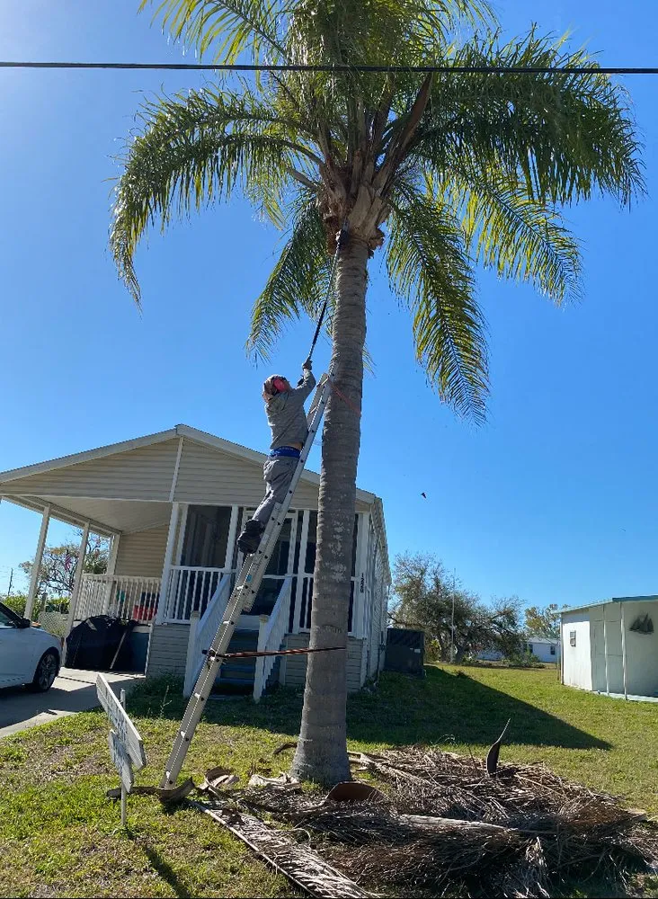 Custom lawn mowing service in Englewood, FL - L&B Lawn Care