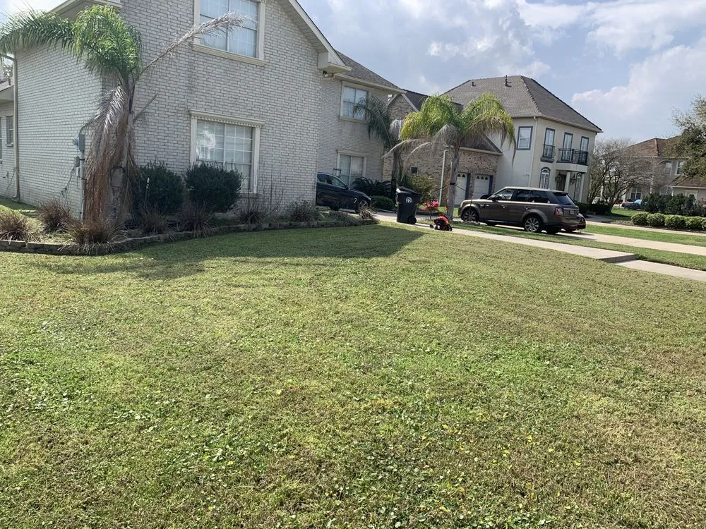 Trusted yard cleanup service near you in Hammond, LA by LB Lawn Care