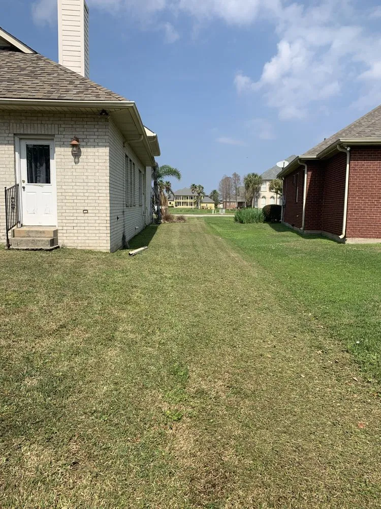 Trusted yard maintenance experts serving Hammond, LA - LB Lawn Care