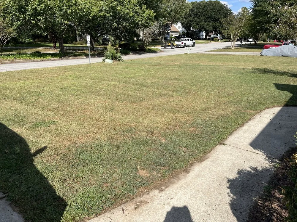 Custom lawn care service for outdoor upgrades in Aiken, SC by L&B Lawn Care Services