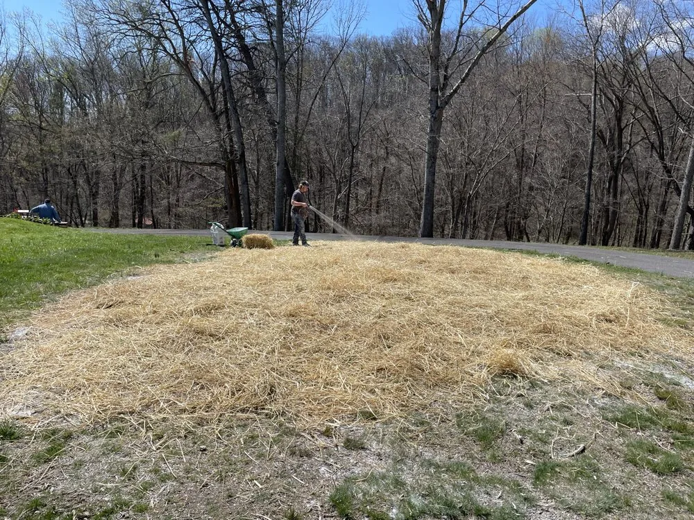 Affordable landscape design in Thorn Hill, TN by LB Lawncare & More