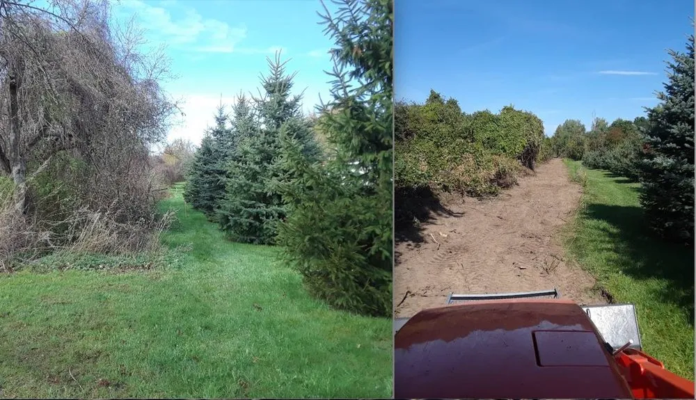 Professional outdoor landscaping experts serving Panorama, NY - LB Services