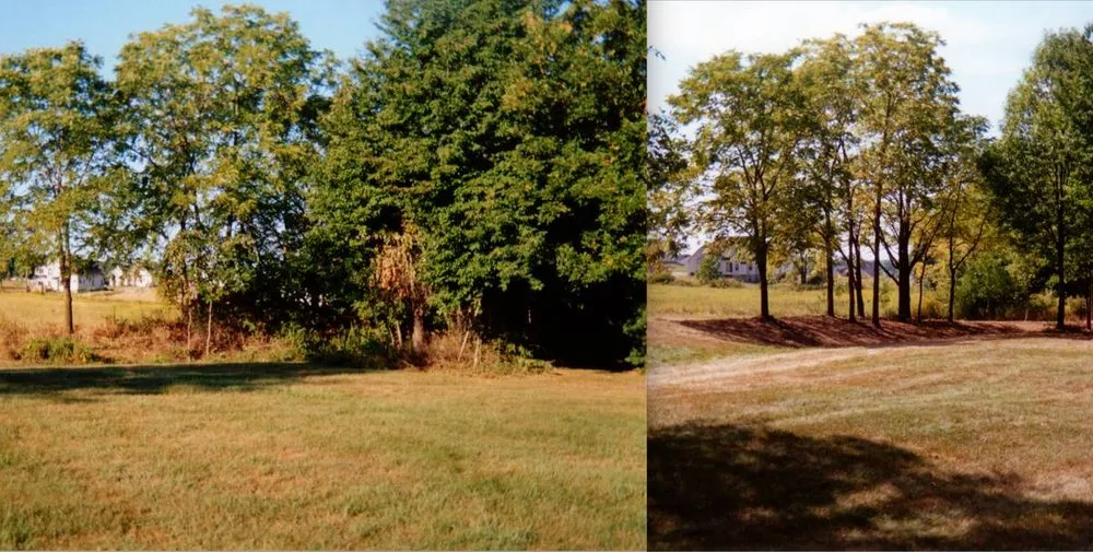 Expert yard maintenance in Panorama, NY - LB Services