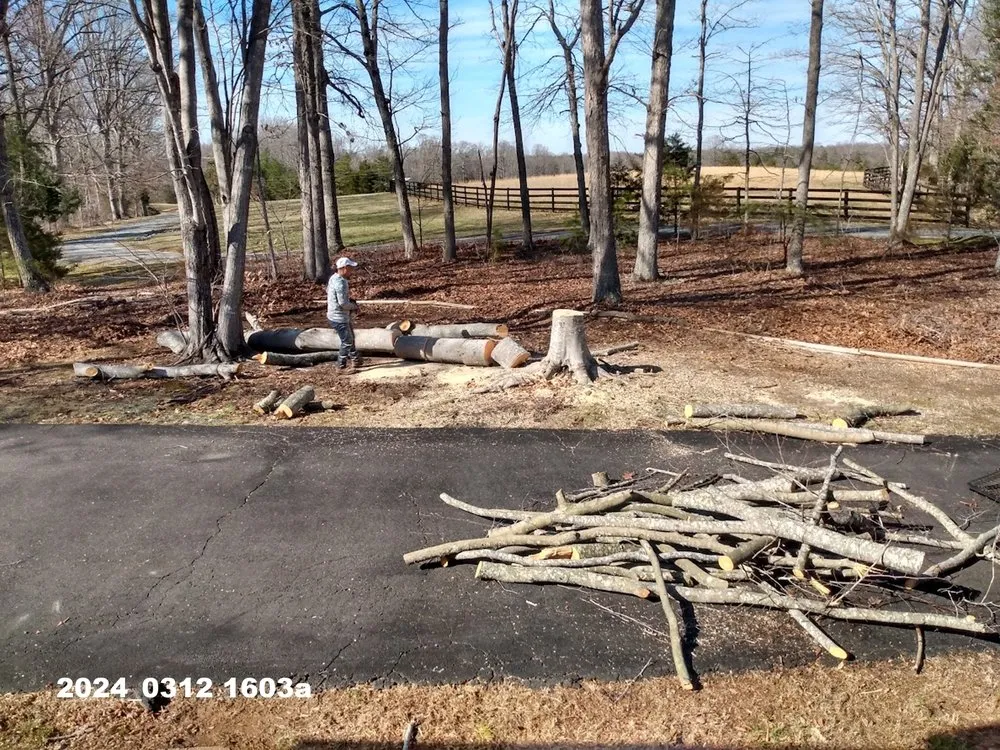Local landscaping services for year-round maintenance across Stanardsville, VA - L&B Tree and Landscaping Services