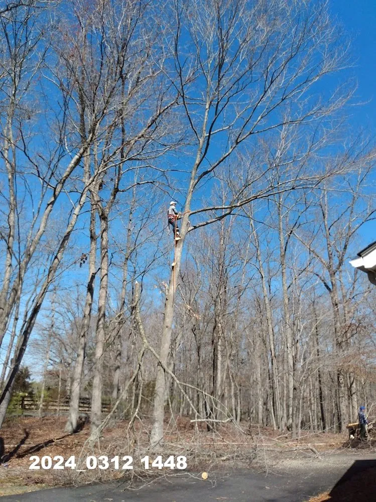 Affordable garden landscaping for beautiful yards in Stanardsville, VA by L&B Tree and Landscaping Services