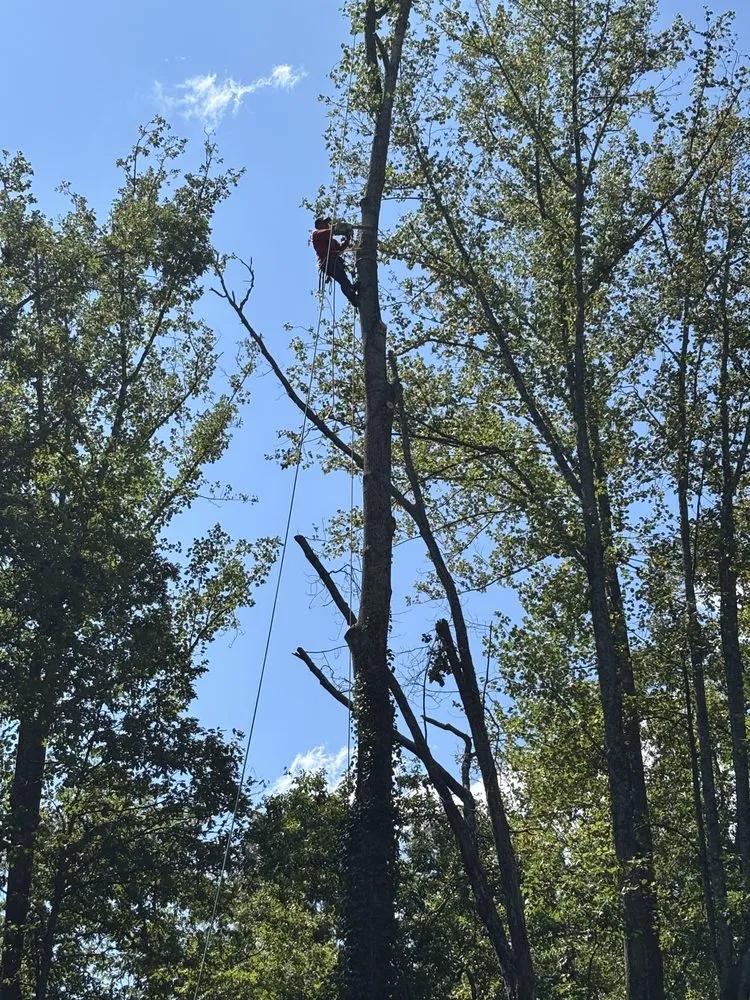 Custom yard maintenance in Stanardsville, VA - L&B Tree and Landscaping Services