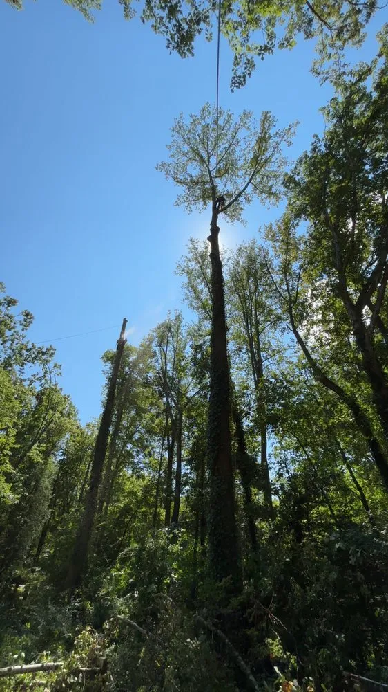 Reliable landscaping services for homes across Stanardsville, VA - L&B Tree and Landscaping Services