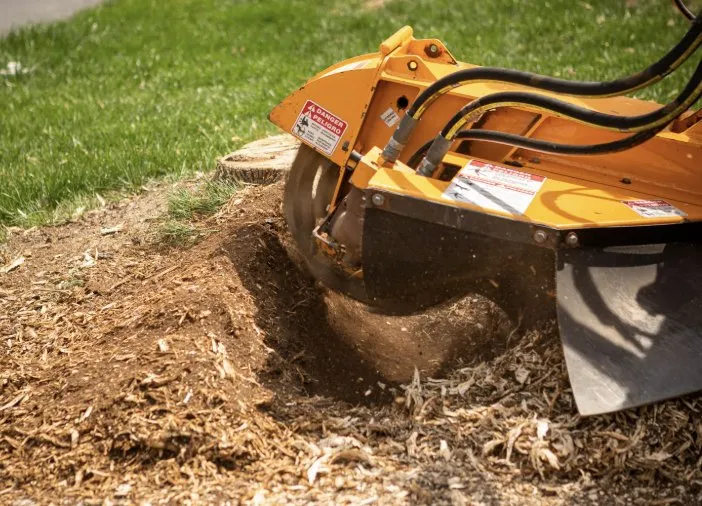Local garden landscaping in Stanardsville, VA by L&B Tree and Landscaping Services