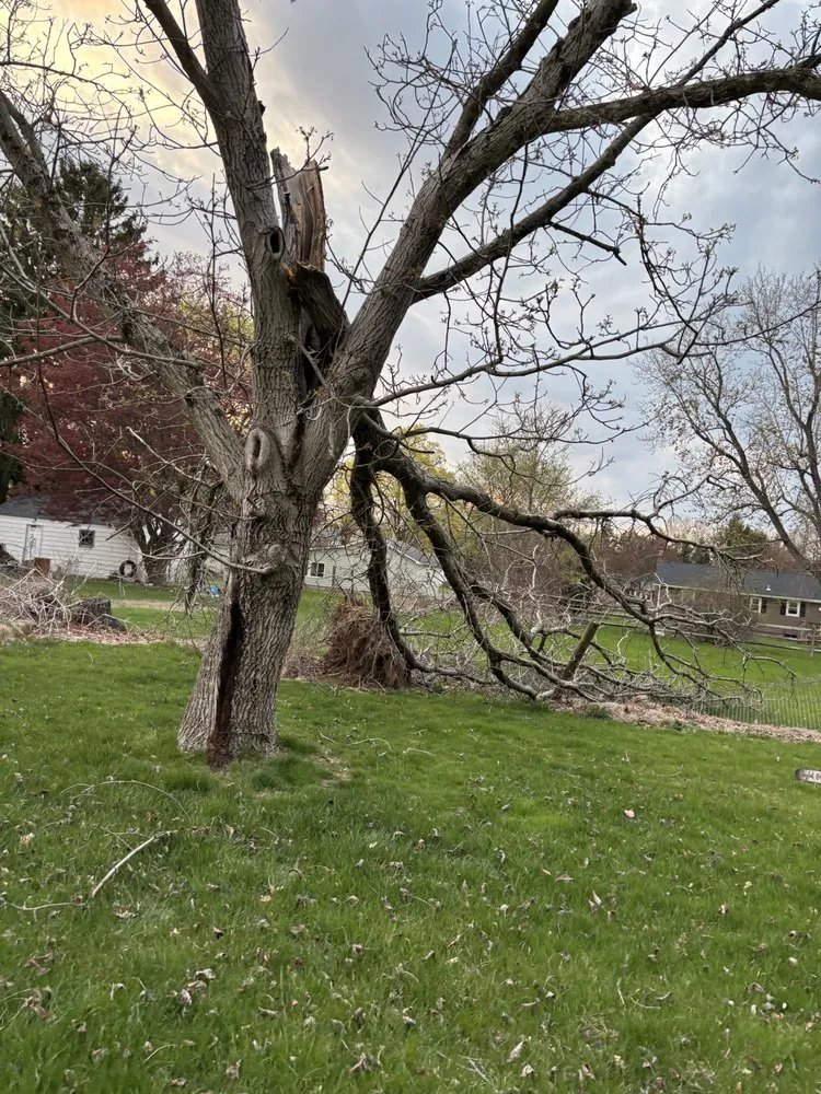 Trusted lawn care service in Manchester, CT by L&B Tree Service