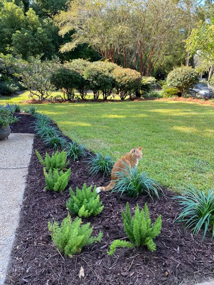 Expert residential landscaping near you across Fairhope, AL - LBC Landscape