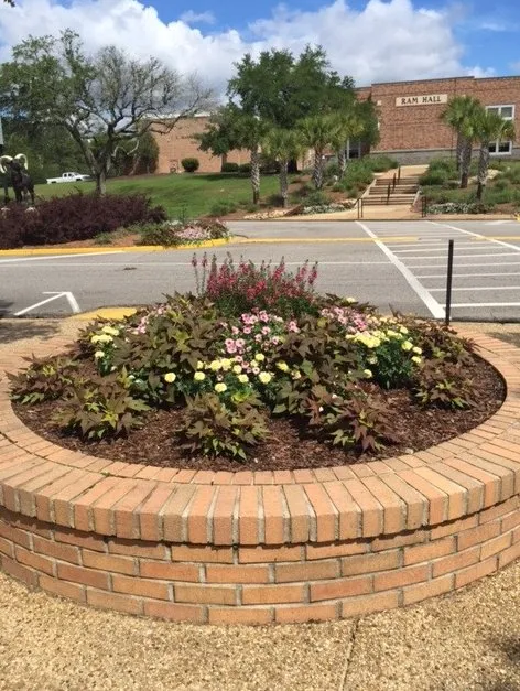 Trusted yard cleanup service for residential properties in Fairhope, AL by LBC Landscape