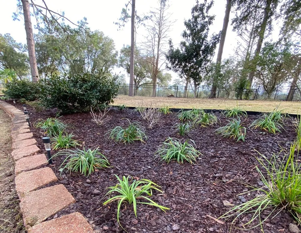 Professional outdoor landscaping with custom design in Fairhope, AL by LBC Landscape