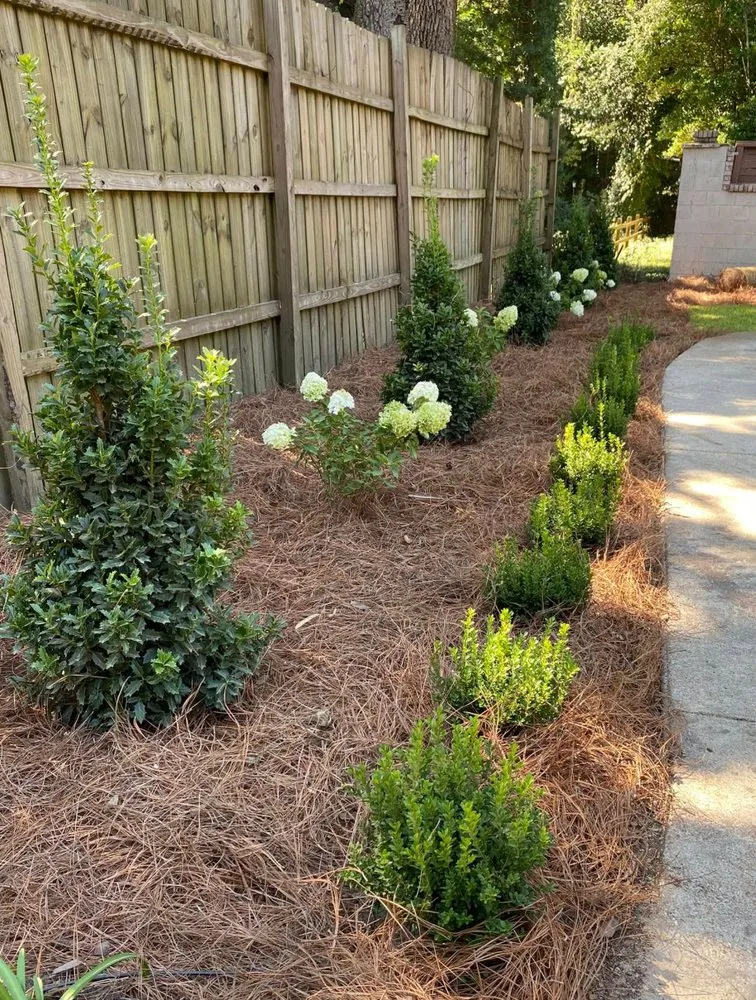 Reliable landscaping services in Fairhope, AL by LBC Landscape