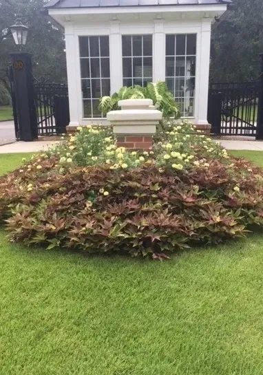 Top-rated landscaping services with custom design across Fairhope, AL - LBC Landscape