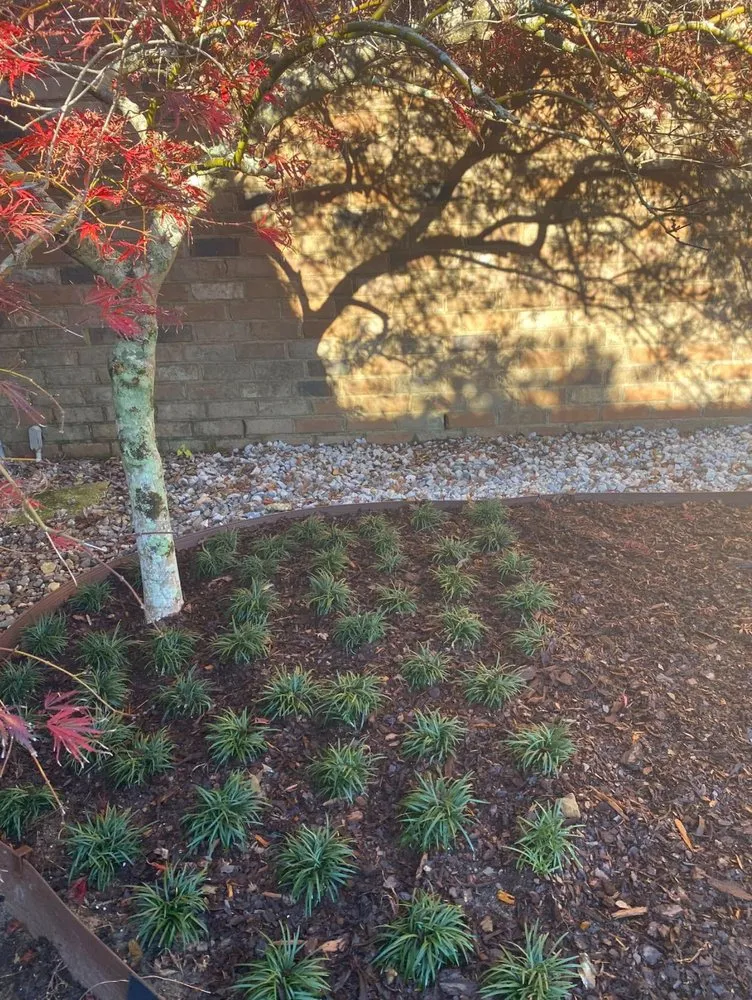 Affordable landscape installation for outdoor upgrades across Fairhope, AL - LBC Landscape