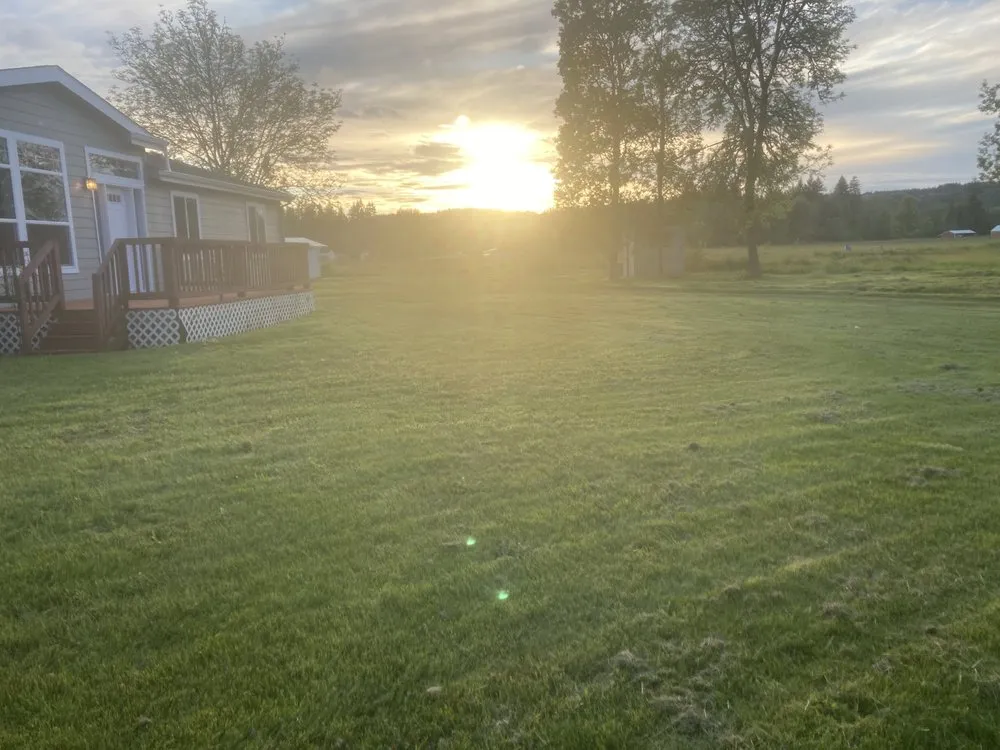 Affordable garden landscaping for year-round maintenance in Lacey, WA by LBE Lawncare