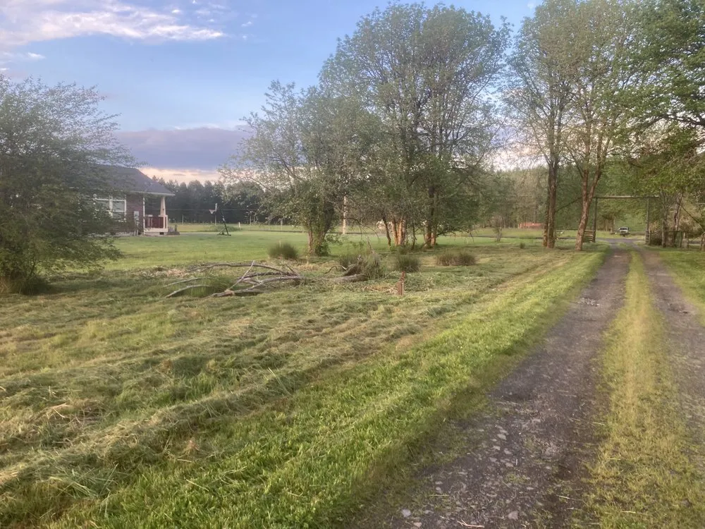 Trusted lawn mowing service experts serving Lacey, WA - LBE Lawncare