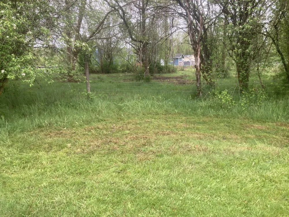 Reliable yard cleanup service for beautiful yards in Lacey, WA by LBE Lawncare