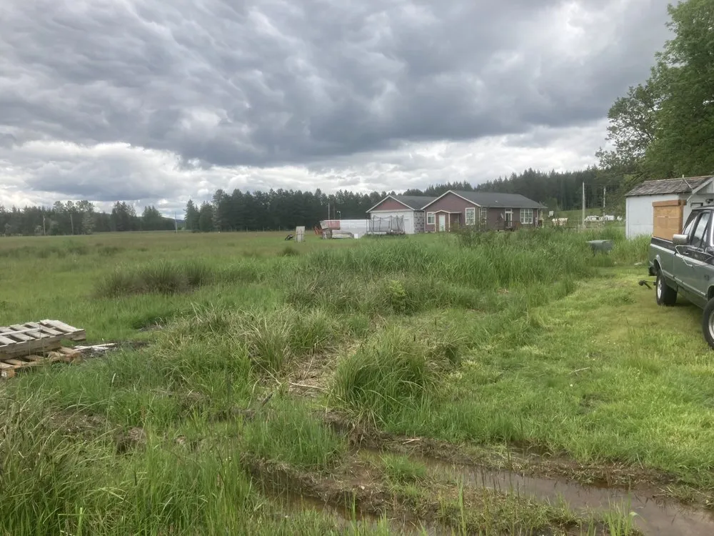 Local garden landscaping for homes across Lacey, WA - LBE Lawncare