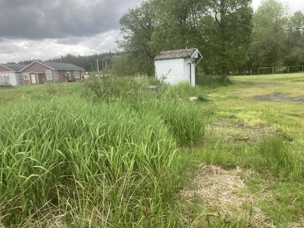 Affordable lawn care service for residential properties across Lacey, WA - LBE Lawncare