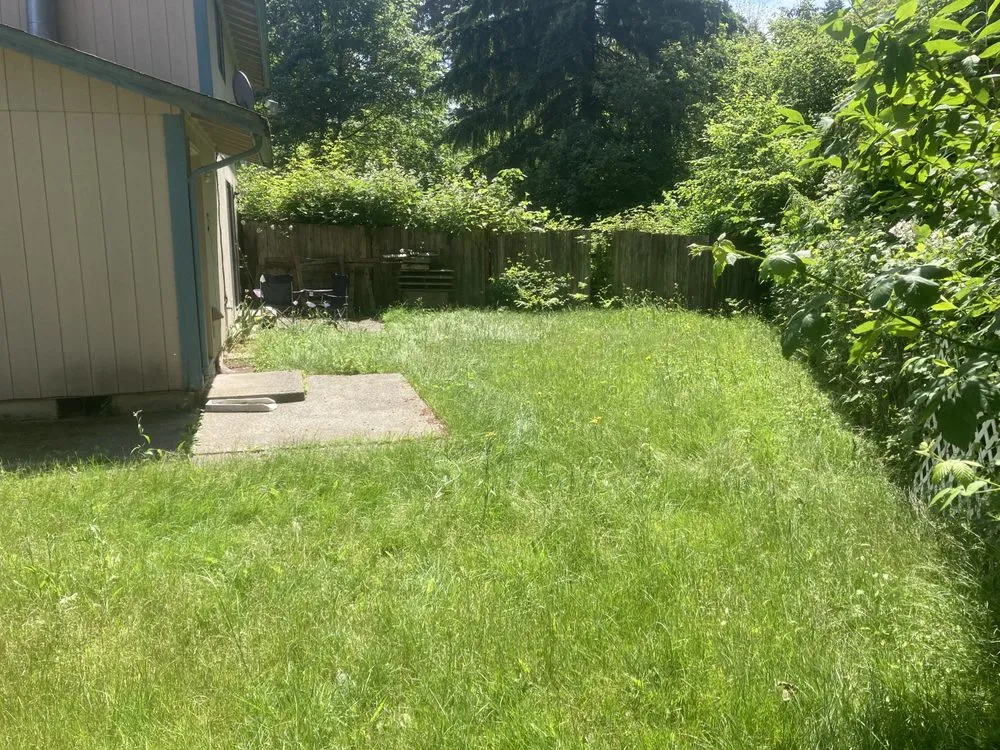 Affordable lawn care service in Lacey, WA by LBE Lawncare