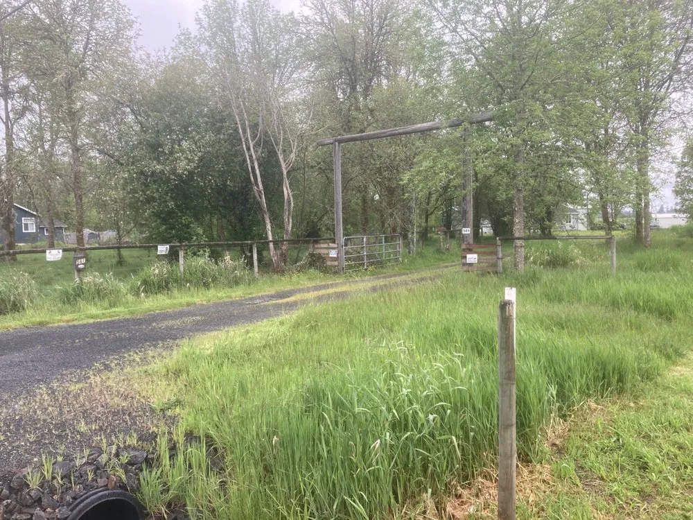 Top-rated garden landscaping for residential properties in Lacey, WA by LBE Lawncare