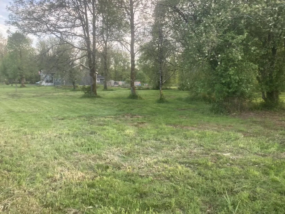 Trusted lawn mowing service near you across Lacey, WA - LBE Lawncare