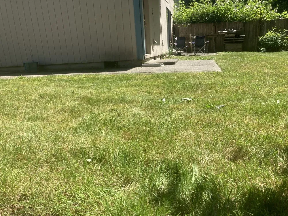 Custom yard cleanup service for homes in Lacey, WA by LBE Lawncare
