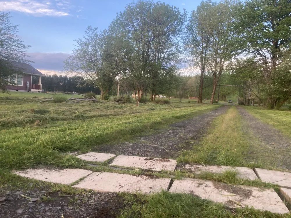 Local yard cleanup service for year-round maintenance in Lacey, WA by LBE Lawncare