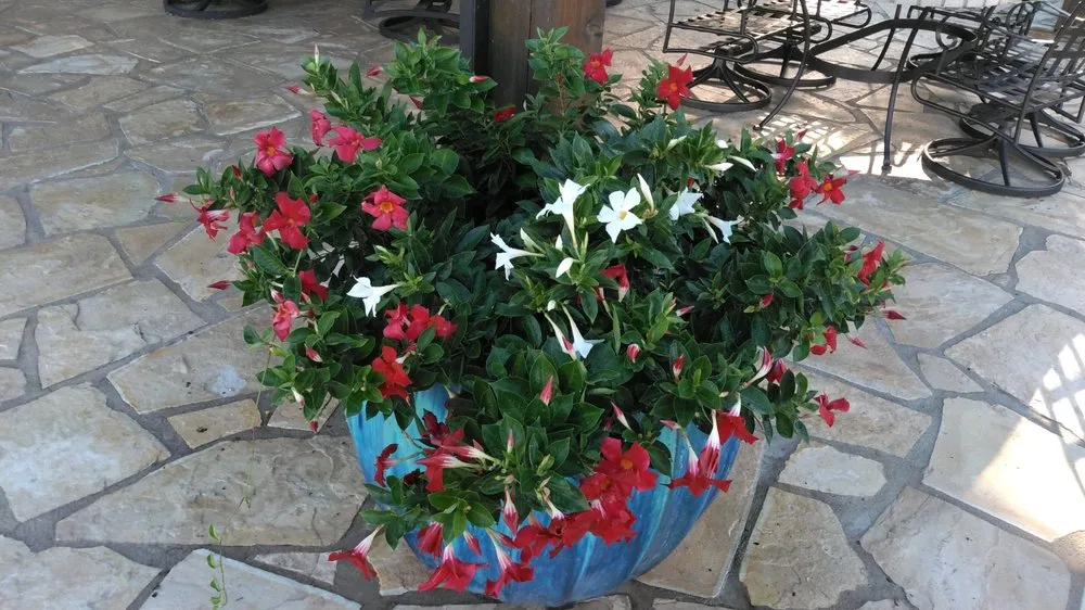 Top-rated landscaping services for beautiful yards across Kingsland, TX - LBJ Gardens