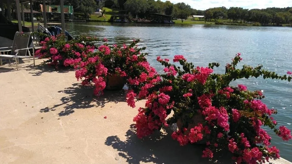 Custom yard maintenance near you in Kingsland, TX by LBJ Gardens