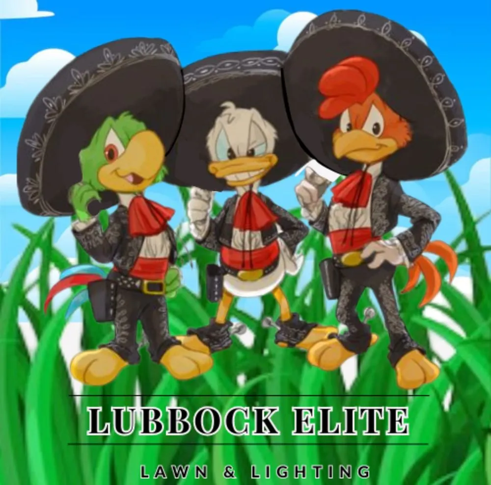 Trusted yard maintenance for outdoor upgrades across Lubbock, TX - LBK Elite Lawn & Lighting