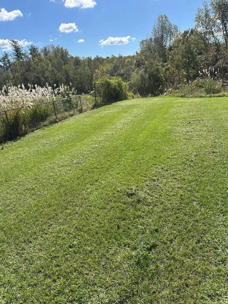 Professional landscaping services for year-round maintenance across Landrum, SC - LBK Services