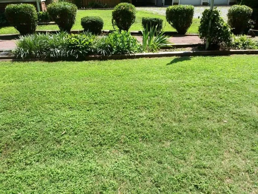 Trusted lawn care service in Woodford, VA by LBN Lawn care