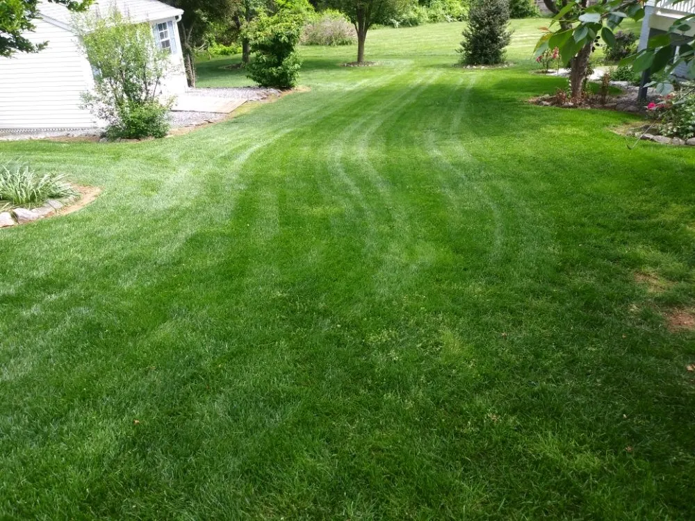 Local outdoor landscaping in Woodford, VA - LBN Lawn care