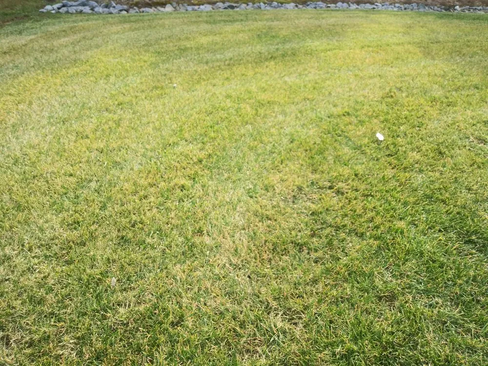 Affordable landscaping services experts serving Woodford, VA - LBN Lawn care