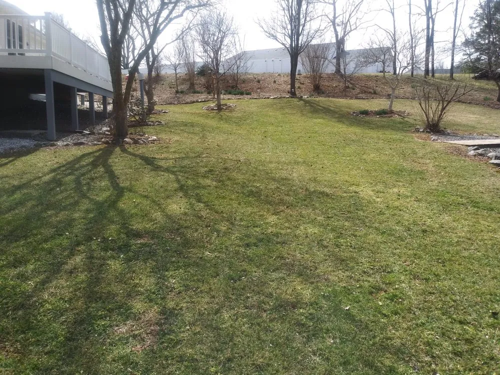 Professional yard maintenance with custom design in Woodford, VA by LBN Lawn care