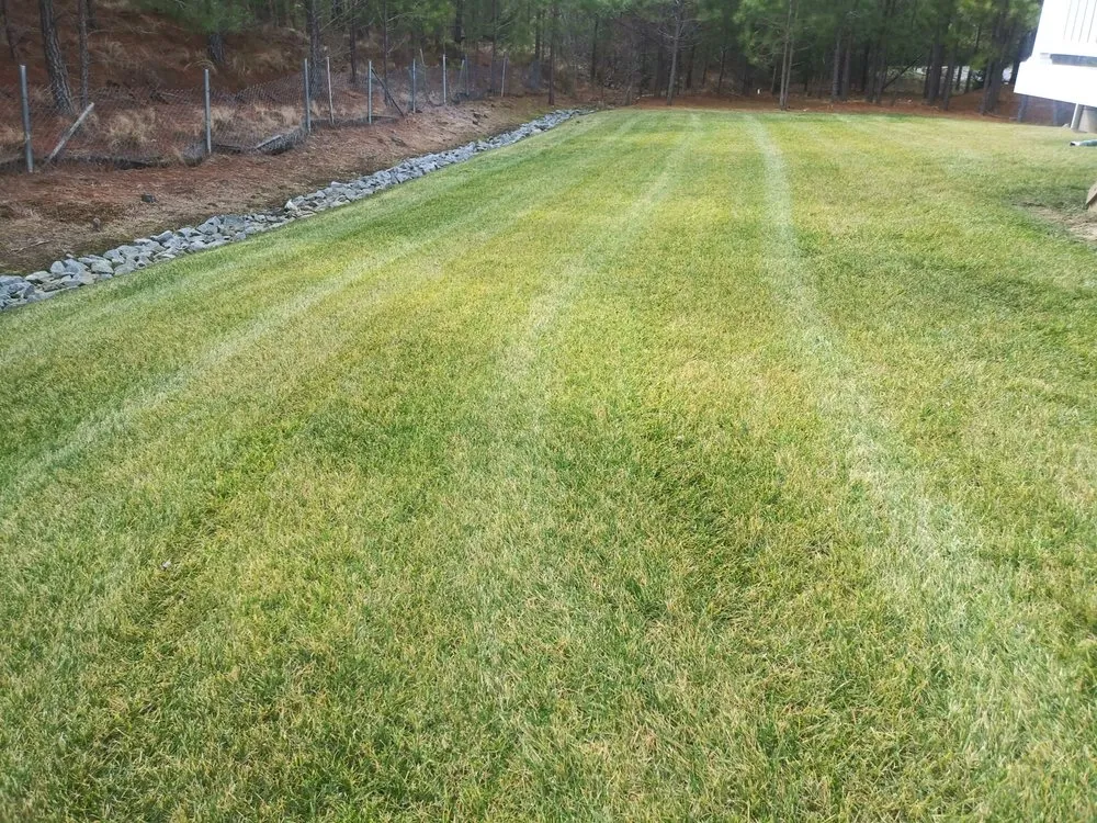 Local garden landscaping with custom design in Woodford, VA by LBN Lawn care