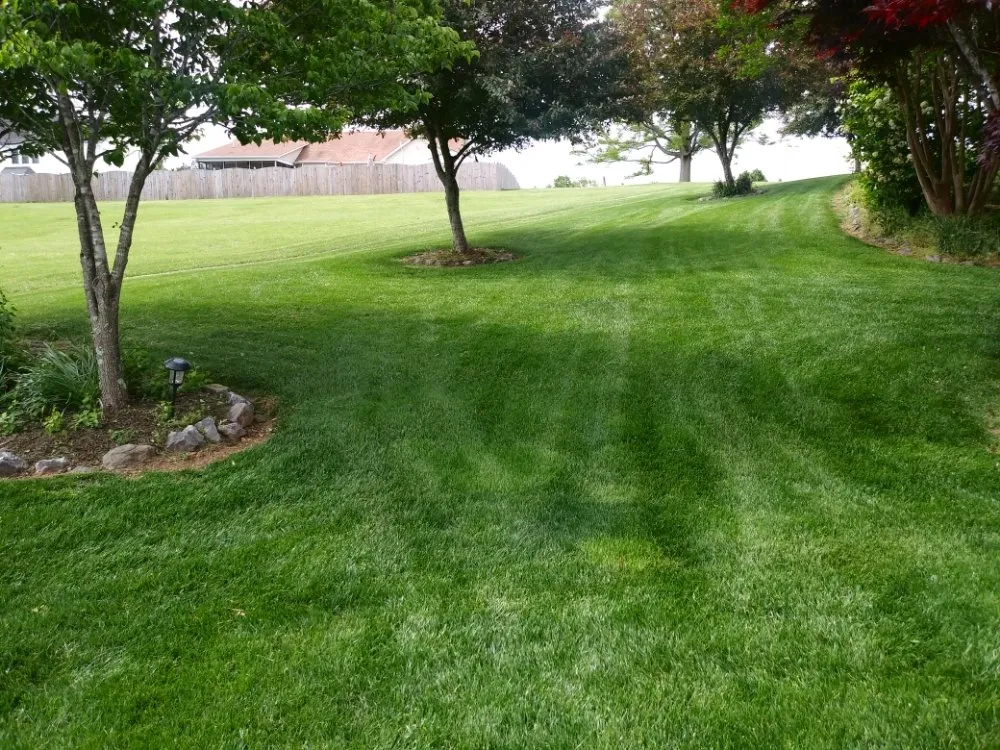 Professional garden landscaping in Woodford, VA by LBN Lawn care