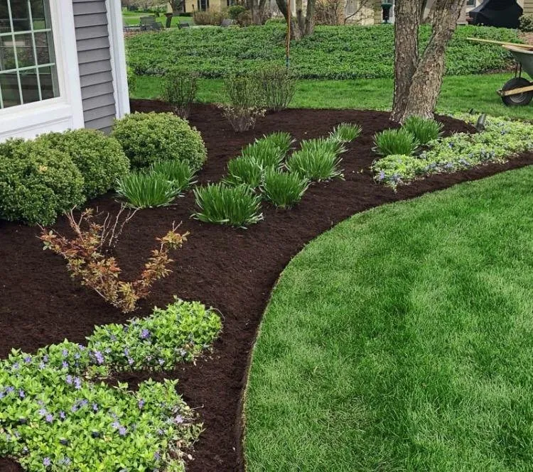 Affordable landscape installation experts serving Woodford, VA - LBN Lawn care