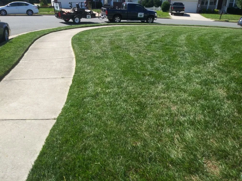 Reliable yard cleanup service experts serving Woodford, VA - LBN Lawn care