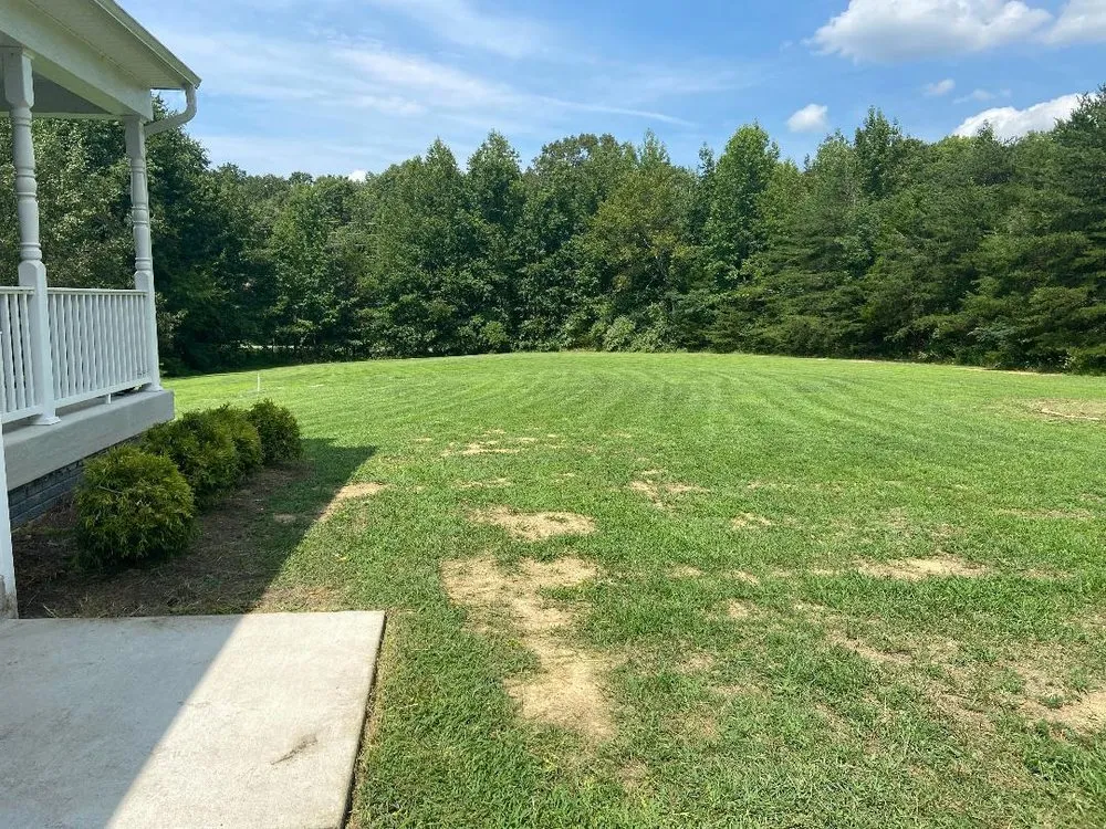 Trusted lawn mowing service experts serving Woodford, VA - LBN Lawn care