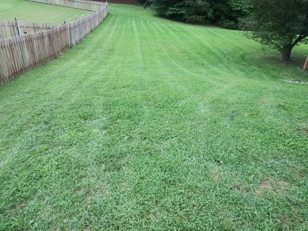Local lawn care service in Woodford, VA by LBN Lawn care