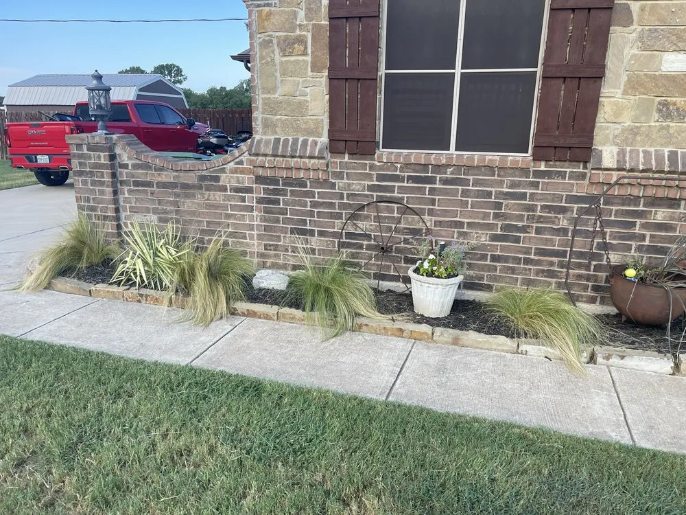 Reliable yard cleanup service in Springtown, TX - LBR Lawn Care