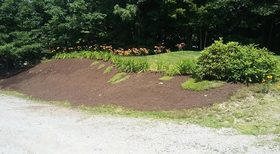 Custom yard maintenance for residential properties in South Greenfield, MO by LBW Lawncare