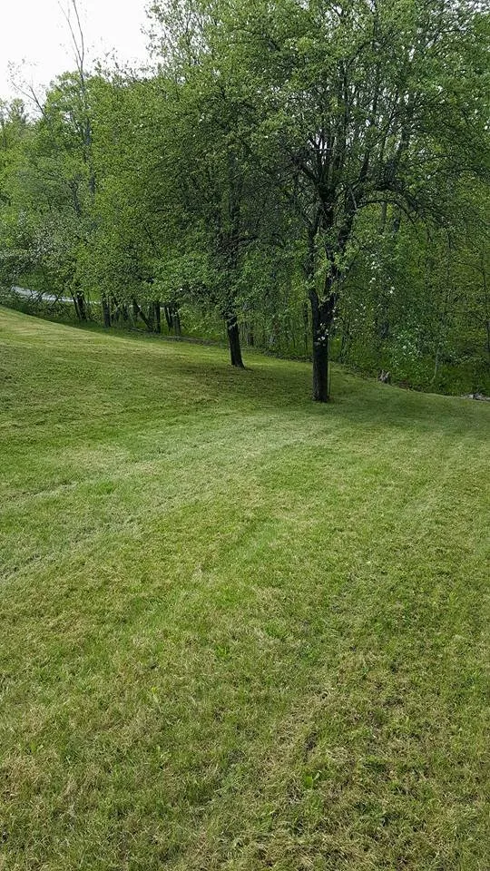 Expert lawn mowing service with custom design across South Greenfield, MO - LBW Lawncare
