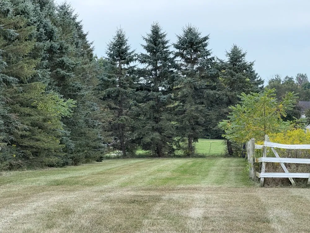 Professional landscaping services for homes across Westland, MI - L.C Cutting Edge Lawn Care