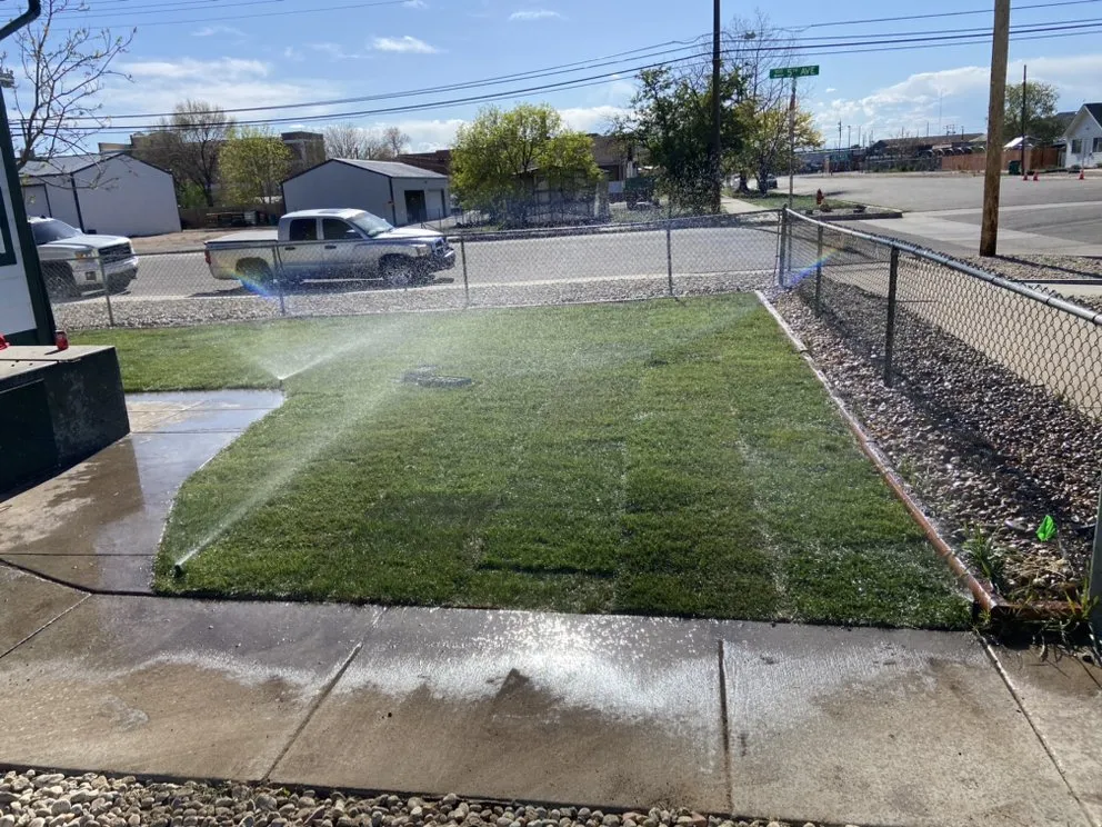 Professional yard maintenance in Denver, CO by LC Evergreen Landscaping