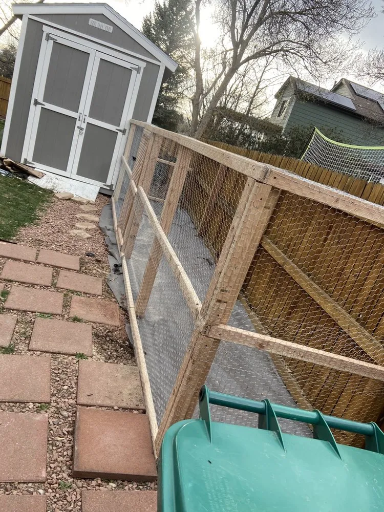 Professional yard maintenance in Denver, CO by LC Evergreen Landscaping